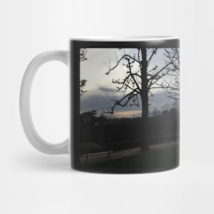 Paris from Pere Lachaise Mug